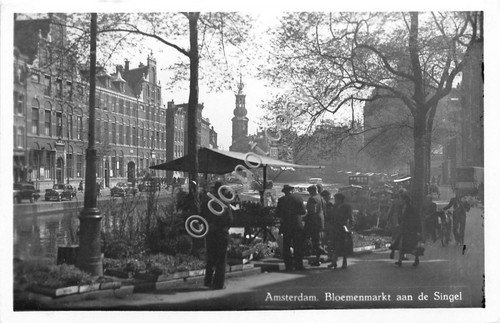 Cartolina Amsterdam Bloemenmarkt ann de Singel 1954