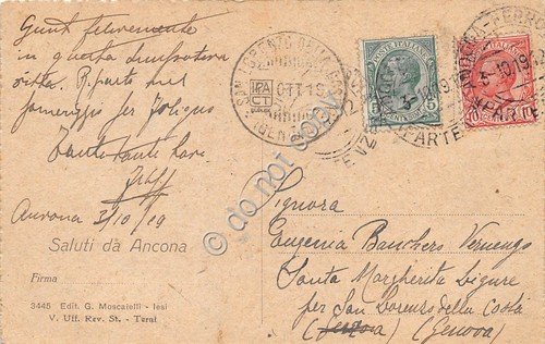 Cartolina Ancona Panorama 1919