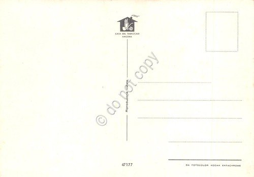 Cartolina Ancona varie vedute notturno anni '60 | Immagine Gallery 2