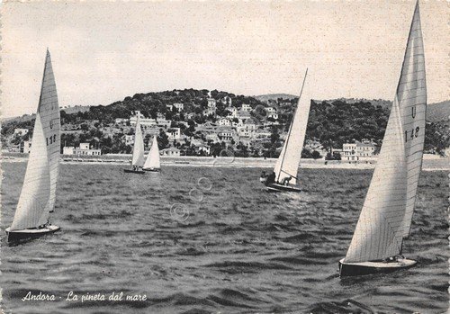 Cartolina Andora veduta spiaggia dal mare regata velica barche a … | Immagine principale