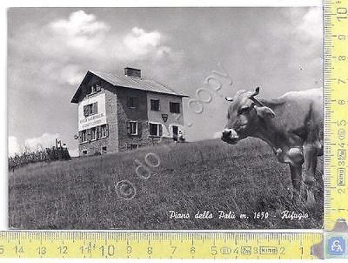 Cartolina Angolo Terme Piano della Palù Anni 60 | Immagine principale