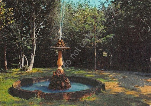 Cartolina Appennino Reggiano Terme S. Lucia di Cervarezza Fontana del … | Immagine principale