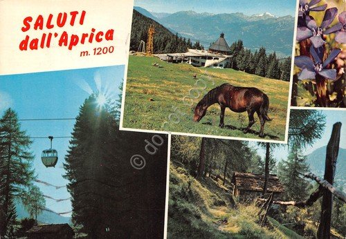 Cartolina Aprica vedute varie ovovia cavallo Timbro Eden Hotel (Sondrio) | Immagine principale