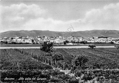 Cartolina Apricena - falde del Gargano (Foggia) | Immagine principale