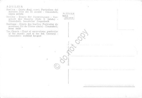 Cartolina Aquileia Basilica Cripta degli scavi mosaico cimandorli capro sellato | Immagine Gallery 2