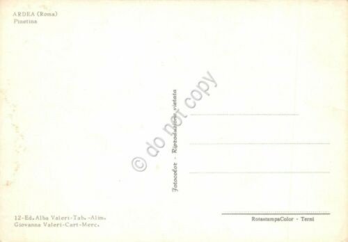 Cartolina Ardea Roma Pinetina | Immagine Gallery 2