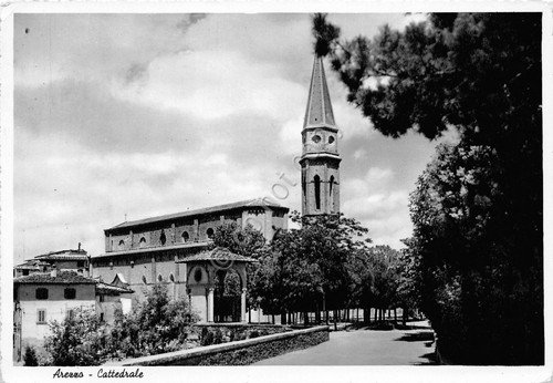 Cartolina Arezzo cattedrale 1954 VG