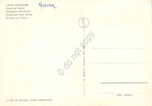 Cartolina Arona vedute varie città e battello