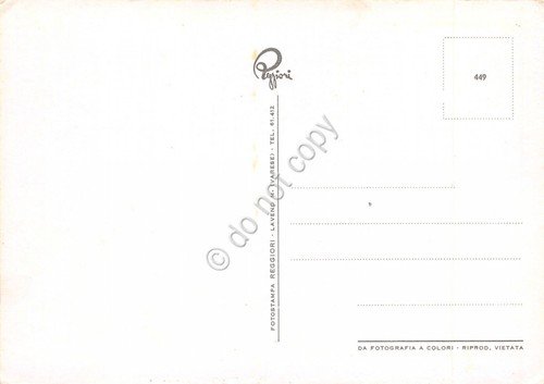 Cartolina Arona vedute varie e Statua S. Carlo (Novara)