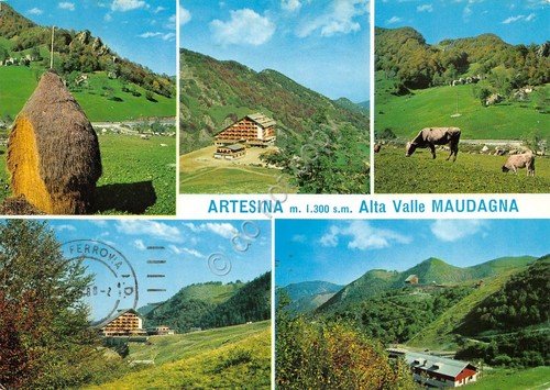Cartolina Artesina Frabosa Soprana vedute varie mucche 1988