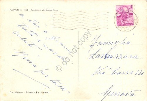 Cartolina Asiago Panorama con mucche da Malga Fassa anni '60 | Immagine Gallery 2