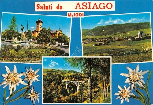 Cartolina Asiago vedute panorama e stelle alpine (Vicenza) | Immagine principale