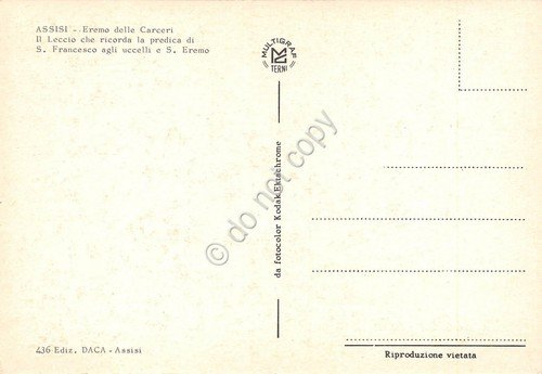 Cartolina Assisi Eremo delle Carceri (Perugia) | Immagine Gallery 2