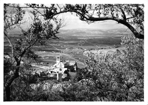 Cartolina Assisi Stampa Fotografica Rotativa Bromofoto n.257