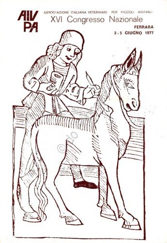 Cartolina Associazione Italiana Veterinari XVI Congresso Ferrara 1977