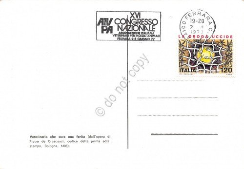 Cartolina Associazione Italiana Veterinari XVI Congresso Ferrara 1977 | Immagine Gallery 2