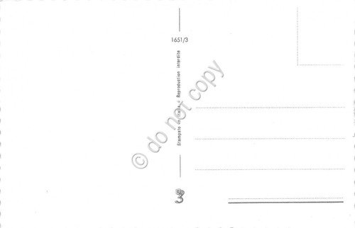 Cartolina Augurale Buon Natale neve case agrifoglio bordo oro 3 …