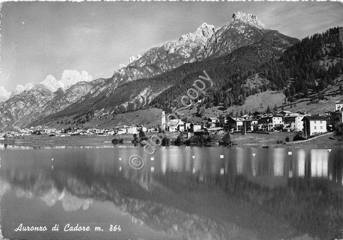 Cartolina Auronzo di Cadore Panorama (Belluno)