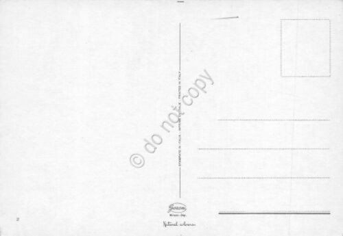 Cartolina Auto da corsa Cougar | Immagine Gallery 2