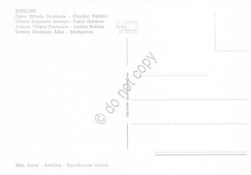 Cartolina Avellino Corso Vittorio Emanuele animata | Immagine Gallery 2