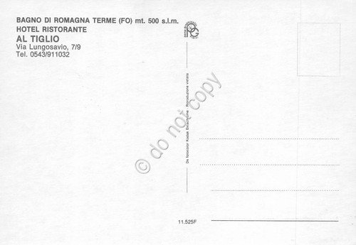 Cartolina Bagno di Romagna Terme Hotel Al Tiglio vedute varie … | Immagine Gallery 2