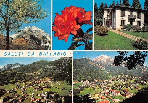 Cartolina Ballabio vedute varie e fiori (Lecco)