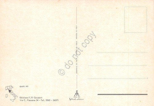 Cartolina Baratti vedute varie (Livorno) | Immagine Gallery 2