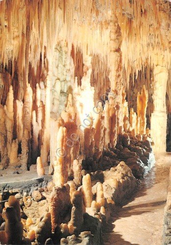 Cartolina Bari Grotte di Castellana Grotta bianca 1975 | Immagine principale