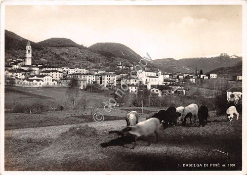 Cartolina Baselga di Pinè panorama - pascolo 1939 (Trento) | Immagine principale