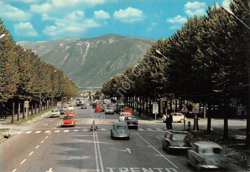 Cartolina Bassano del Grappa Viale delle Fosse auto d'epoca 1959