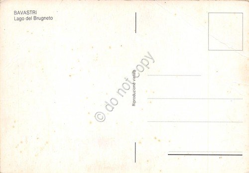 Cartolina Bavastri Lago del Brugneto panorama grinza | Immagine Gallery 2