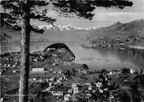Cartolina Bellagio Lago di Como Brunner 1957