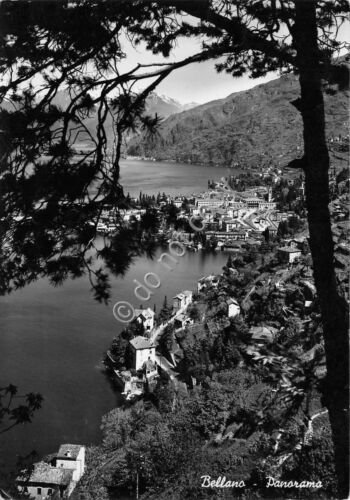 Cartolina Bellano Panorama 1955