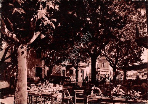 Cartolina Bellaria Viale Guidi NVG (Rimini) | Immagine principale