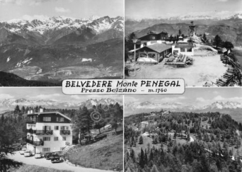 Cartolina Belvedere Monte Panegal vedute timbro Hotel Facchin 1967 (Trento) | Immagine principale