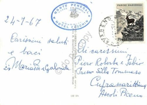 Cartolina Belvedere Monte Panegal vedute timbro Hotel Facchin 1967 (Trento) | Immagine Gallery 2