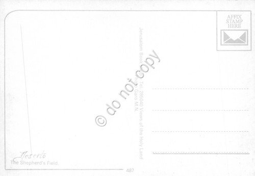 Cartolina Bethlehem? shepherd's field deserto animata anni '80 | Immagine Gallery 2