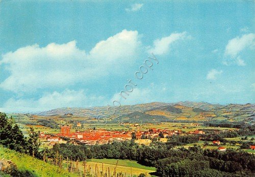 Cartolina Bistagno panorama da ponente 1973