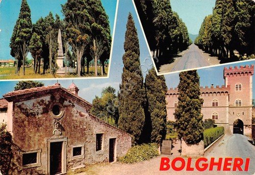 Cartolina Bolgheri 3 vedute (Livorno) | Immagine principale