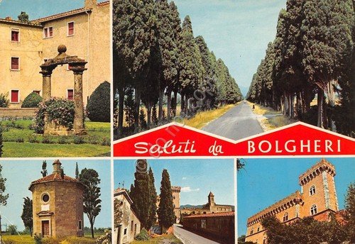 Cartolina Bolgheri 5 vedute 1984 (Livorno) | Immagine principale