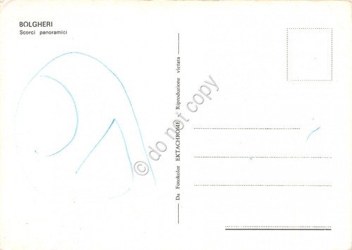 Cartolina Bolgheri vedute (Livorno) | Immagine Gallery 2