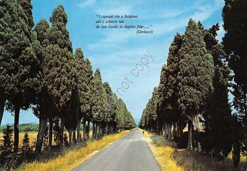 Cartolina Bolghieri Timbro a targhetta Esposizione mondiale filatelia 1976 | Immagine Gallery 2