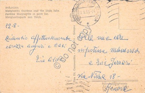 Cartolina Bologna Giardino Margherita laghetto 1965