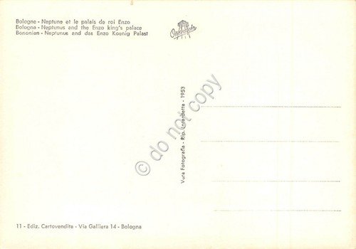 Cartolina Bologna Palazzo Re Enzo Nettuno