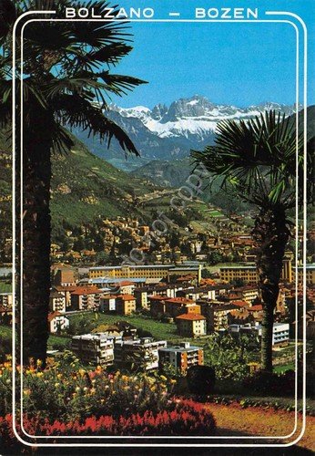 Cartolina Bolzano Bozen panorama case verso il Catinaccio anni '80