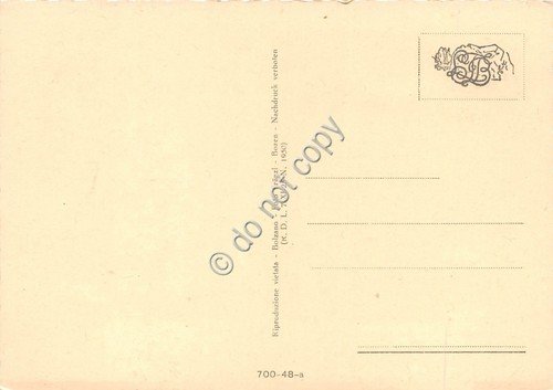 Cartolina Bolzano Panorama e Monte Catinaccio | Immagine Gallery 2