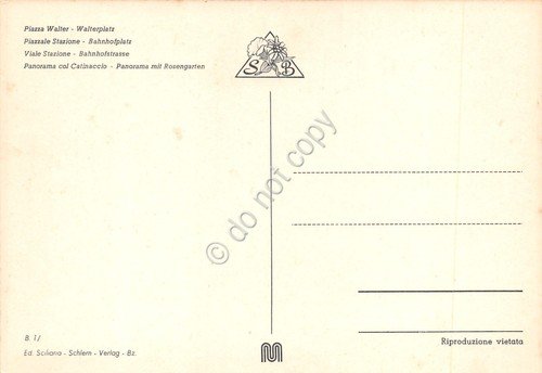 Cartolina Bolzano vedute varie città Saluti da Piazza Walter viale …