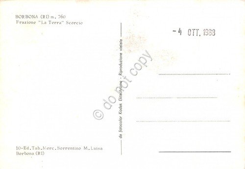 Cartolina Borbona Frazione La Terra una via auto animata