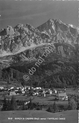 Cartolina Borca di Cadore verso Antelao panorama 1949 Ed Ghedina | Immagine principale