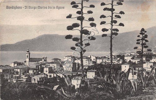 Cartolina Bordighera Borgo Marina 1931 (Imperia) | Immagine principale